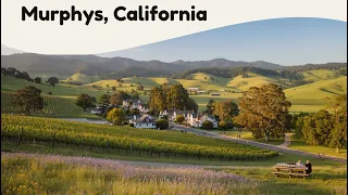 10 Best Things to Do in Murphys California