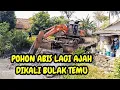 Download Lagu EXCAVATOR GALAK LAGI AJAH AMA POHON❗️KALI BULAK TEMU DI KEBUT#kdm