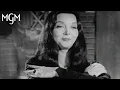 Best of Morticia Addams MGM Studios