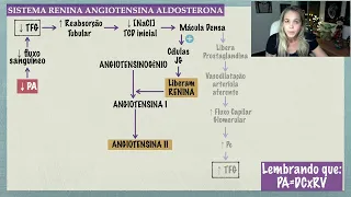 Sistema Renina Angiotensina Aldosterona