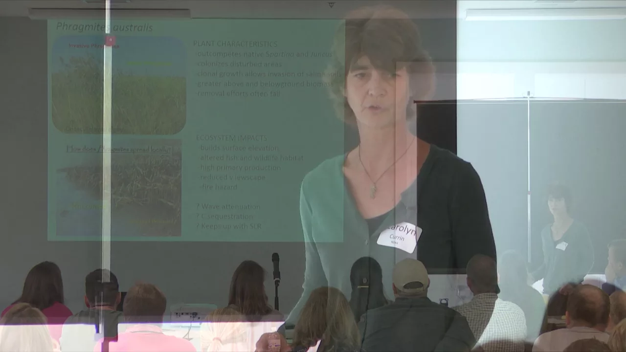 Carolyn Currin - Living Shorelines: Benefits & Limitations