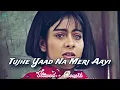 Tujhe Yaad Na Meri Aayi_(SLOWED \u0026 REVERB)_Udit Narayan | Alka Yagnik | SB Lofi