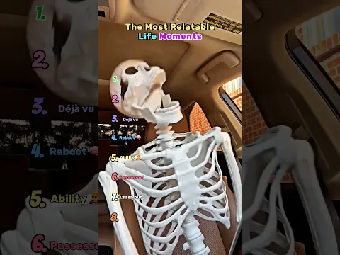 Relatable Life Moments