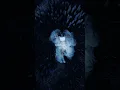 Download Lagu Power - Little Mix | lyrics | aesthetic | slowed | speed up | whatsapp status | #tiktok