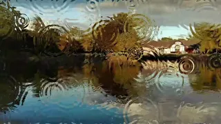 عبد الحليم حافظ على قد الشوق حالات واتس دندنها