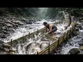 Lagu Building a Bamboo Fish Trap in a Mountain River | by @PrimitiveSkillsnet