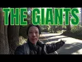 Discover the beauty of Mt Dandenong with Public Transport for under A 10