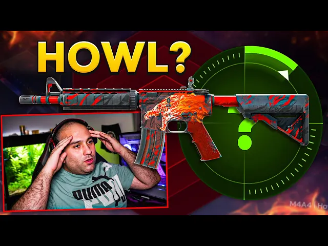 CSGO.NET ჰოული თუ დრაგონ ლორი?