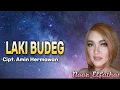 Download Lagu LAKI BUDEG Single Tarling Terbaru NOOR ELFATHONY