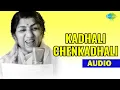 Kadhali Chenkadhali Audio Song | Malayalam Song