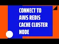 CONNECT TO AWS REDIS CACHE CLUSTER NODE
