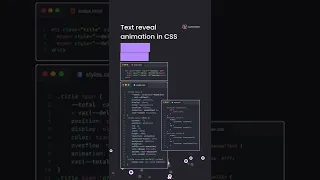 CSS Text Reveal Animation CSS effects