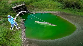 A Near STATE RECORD was Living in This PUDDLE!!! (Giant New PB!)