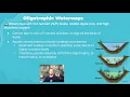 AP Environmental Science 8 5 - Eutrophication