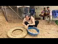 Download Lagu The truth about Khang is gradually revealed. The single mother continues her life. Ly Vy Ca