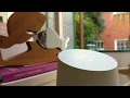 Google home Konami code easter egg