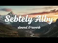 Sebtely Alby | أغنية حب عربية رومانسية مؤثرة | Arabic Love Song #arabicsong #music