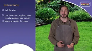 Bonide Stump Vine Killer Conc