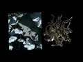 Meet Me RACER  - Argy, Adriatique Vs. Mathame, JONOS, Son of Son (Metro Jam Mashup V2)