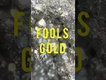 Gold vs fools gold