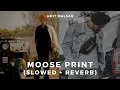 Download Lagu Amit Malsar - Take Notes (Slowed and Reverb) | Sidhu Moose Wala | Moose Print