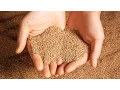 Download Is It Okay to Touch Mars? mp4 3gp mp3 videos - waplic