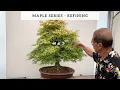 Download Lagu Maple Series - Part III - Refining