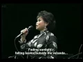 Download Lagu Nhặt Cánh Sao Rơi -  Kim Tước (1992)
