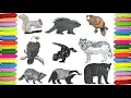 Wild Animals Coloring Pages Ep 4