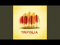 Trois soleils