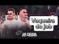 Download Lagu Vaqueira Do Job - Os Feras Do Pizeiro (MÚSICA NOVA)