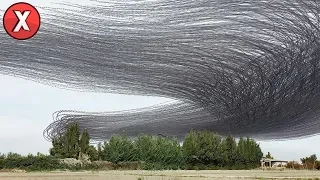 TOP 07 MOMENTOS INACREDITÁVEIS DA NATUREZA GRAVADOS EM VÍDEO l Almanaque x