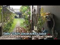 Download Lagu Efektif, Anggrek Menempel di SepanjangTembok, Patut Dicontoh