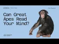 Can great apes read your mind with Dr Chris Krupenye
