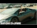Download Lagu Sosna - Spokojnie (Prod. Sosna)