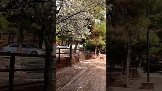 ما كان في القلب كيف العين تفقده 