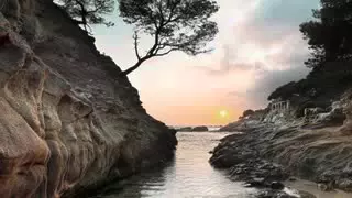 لا إله إلا الله      محمد رشدي دندنها