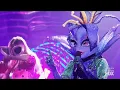Download Lagu The Masked Singer 12  - Blue Bell sings Dance the Night by Dua Lipa