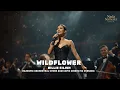 Lagu Billie Eilish – WILDFLOWER | Majestic Orchestral Cover 2025 (Epic Cinematic Version)