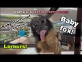 Visiting Florida s Incredible Pets Store Ruby s Zoo