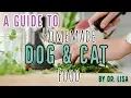 A Guide to Homemade dog cat food Veterinarian Dr Lisa discusses 2019