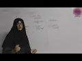 Verification Validation More Concepts Computer Science Class 9 GLS