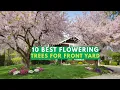 10 best flowering trees for front yard