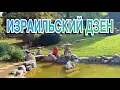 Download Lagu Япония в Израиле | Цветение миндаля | Скрытая красота на берегу озера Кинерет