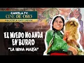 Download Lagu El Miedo No Anda En Burro (1973) con \