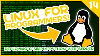 Linux for Programmers - Deploying a Simple Python Web Server