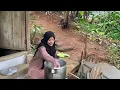 Lagu CARI NANAS MUDA LANJUT BERKEGIATAN DI KEBUN 