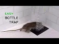 Lagu bottle rat/mouse trap