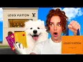 Download Lagu MIJN HOND BEPAALT WAT IK KOOP