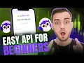 API for Beginners How APIs Work Easy API Testing with Echo API